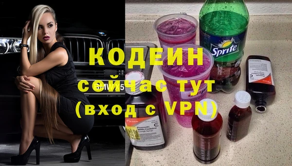 молекула духа Лабытнанги