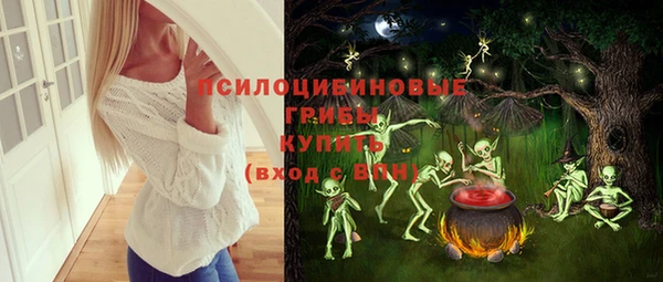 СК Абдулино
